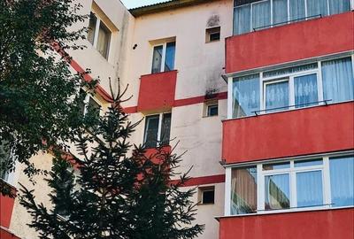 Apartament cu 2 camere decomandat în Precista - 2