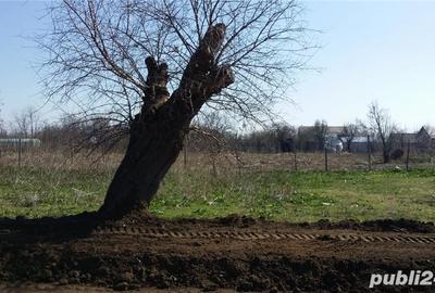 Teren de 2600 mp, în Giurgița - 2