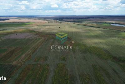 Spațiu comercial, în Valea Plopilor