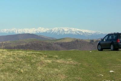 Teren de 10632 mp, în Paltin - 3