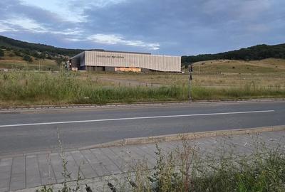 Teren de 21000 mp, în Exterior Vest