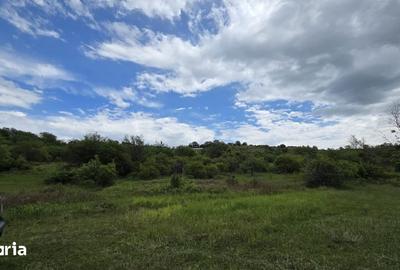 Teren de 7200 mp, în Central - 7