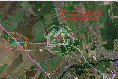 Teren Construcții intravilan de 25000 mp, în Dascălu - 14