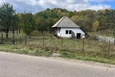 Teren în Nucșoara - 4