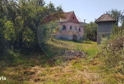 Casă cu 3 camere în Deleni - 4