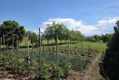 Casă cu 4 camere în Bălata - 10