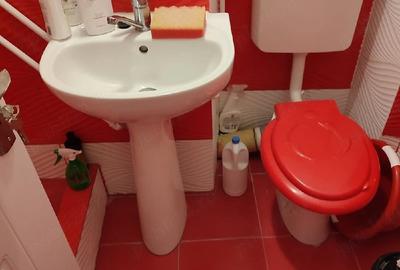 Garsonieră decomandată în Craiovița Nouă - 4