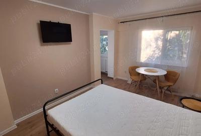 Garsonieră decomandată în Radu Negru - 6