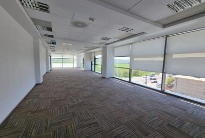 Birou, de 12,598 mp, în Păcurari - 3