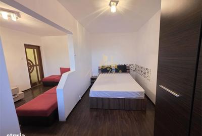 Apartament cu 2 camere nedecomandat, mobilat în Șagului