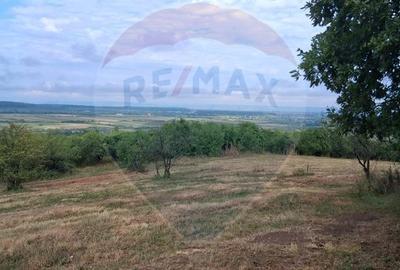 Teren Construcții intravilan de 5700 mp, în Sud-Vest - 13