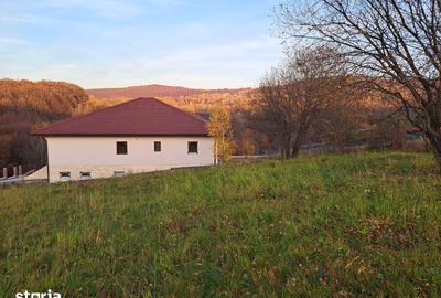 Teren de 1000 mp, în Ciurila