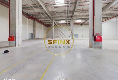 Spațiu comercial, de 2,200 mp, în Dragomirești-Vale - 6