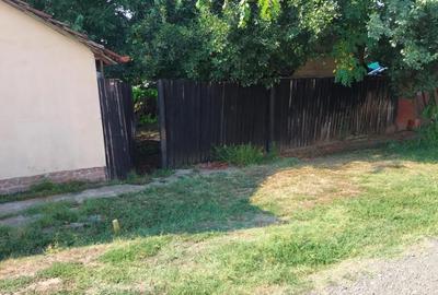 Casă cu 3 camere cu Teren 500 Mp în 6 Vânători - 7
