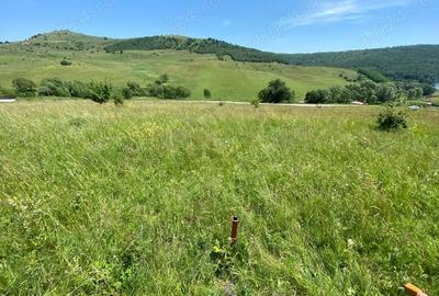Teren de 1100 mp, în Sălicea - 4