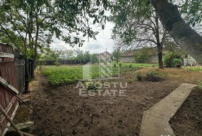 Casă cu 3 camere cu Teren 1339 Mp în Zimandu Nou