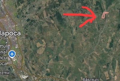 Teren de 11600 mp, în Central