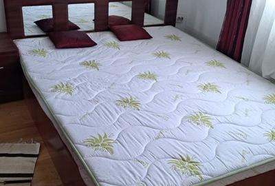 Apartament cu 2 camere decomandat în Zamostea - 5