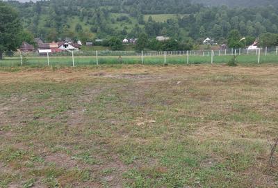 Teren Construcții intravilan de 500 mp, în Grințieș