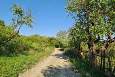 Teren de 950 mp, în Păușești - 1