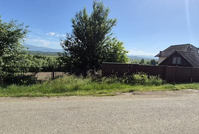 Teren intravilan de 1290 mp, în Coltău - 2