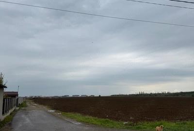 Teren de 4350 mp, în Vernești