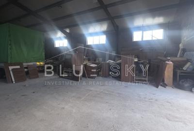 Spațiu industrial, de 300 mp, în Palas