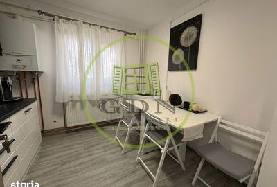 Apartament cu 2 camere decomandat, mobilat în Brazda lui Novac - 7