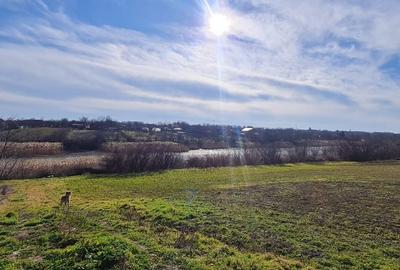 Teren de 4300 mp, în Drăgoești - 3
