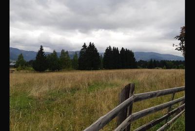 Teren de 6770 mp, în Șaru Dornei - 5