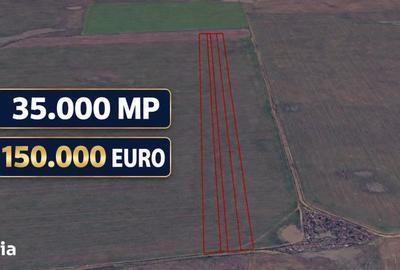 Teren de 35000 mp, în Dascălu