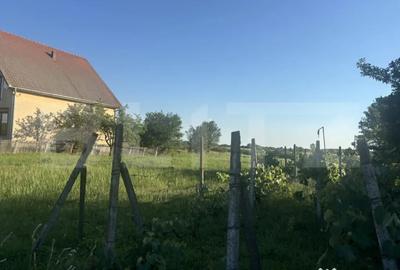 Teren în Cionchești - 2