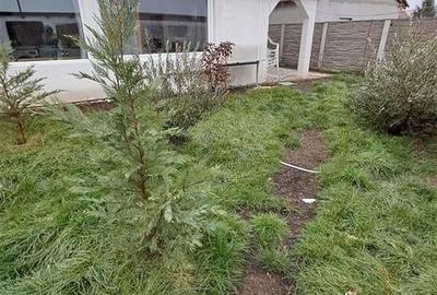 Casă individuală cu 5 camere cu Teren 350 Mp în Exterior Nord - 19