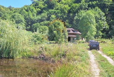Casă individuală cu 6 camere cu Canalizare în Brăduleț - 22