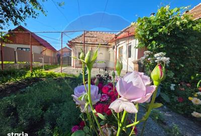 Casă cu 3 camere cu Teren 360 Mp în Central - 11