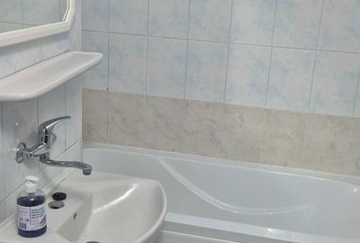 Apartament cu 2 camere decomandat în Buzaului - 3