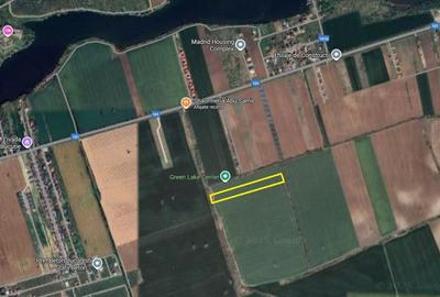 Teren agricol extravilan de 10000 mp, în Căciulați - 1
