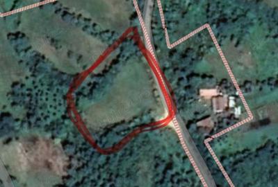Teren de 1300 mp, în Lopadea Nouă