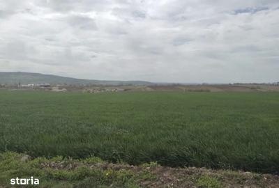 Teren de 5000 mp, în Holboca - 1
