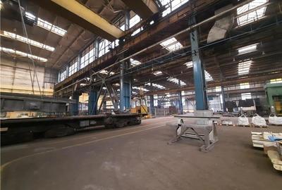 Spațiu industrial, de 5,000 mp, în Sărari - 10