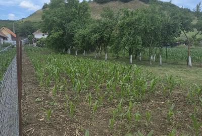 Casă cu 2 camere cu Teren 1000 Mp în Sânmărghita - 2