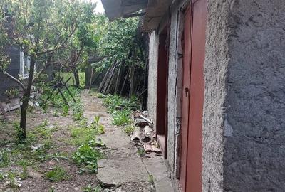 Casă cu 5 camere cu Teren 700 Mp în Ciclova Română - 3
