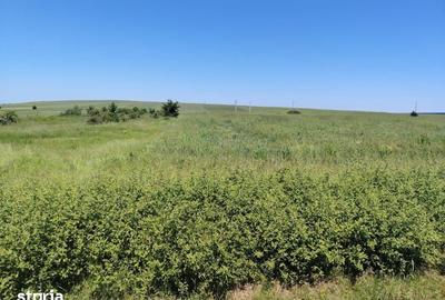Teren de 3600 mp, în Cernele - 4