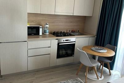 Apartament cu 2 camere în Burdea - 4