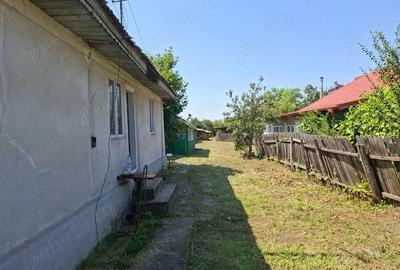 Casă cu Teren 1850 Mp în Colceag - 4