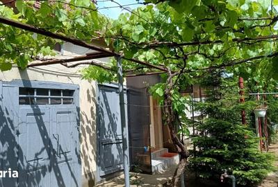 Casă cu 3 camere cu Teren 745 Mp în Sânandrei