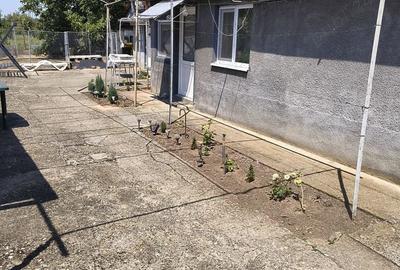 Casă cu 4 camere în Deta - 3