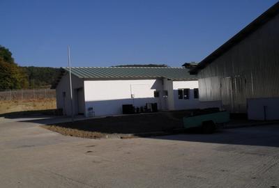 Spațiu industrial, de 11,600 mp, în Dej - 8
