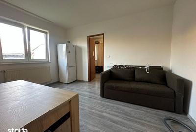 Apartament cu 2 camere, mobilat în Terezian