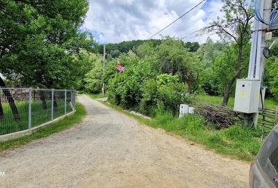 Teren de 8000 mp, în Cârlănești - 2